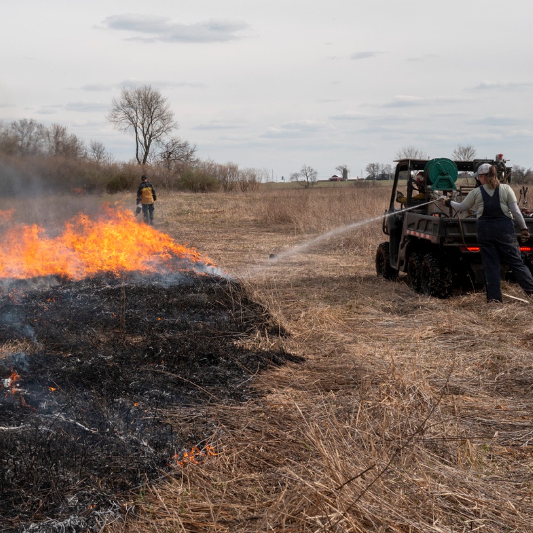 Burn season is in full swing at Hackmatack NWR! Prescribed fire is an excellent land management tool. Thank you, @DiscoverMCCD and @FriendsHackNWR, for your assistance in building and restoring a new Fish and Wildlife Refuge! More about this practice: ow.ly/lKh550RyLmG