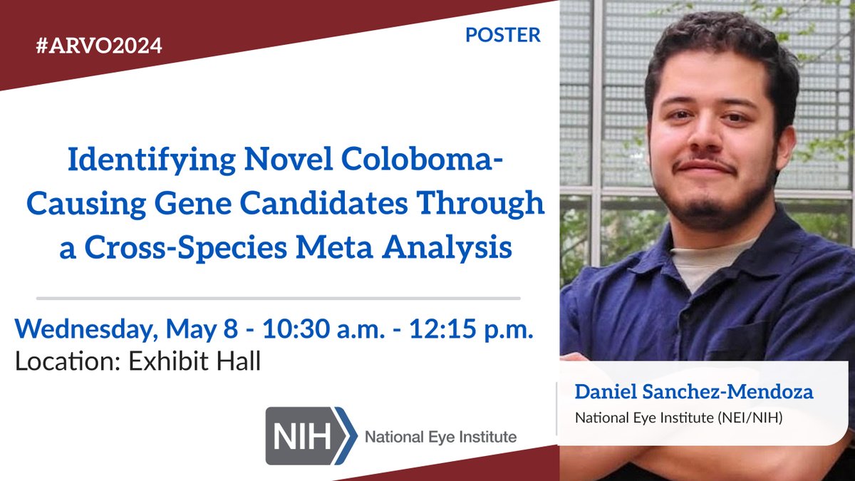 (2/4) More #NEI posters for tomorrow (Wednesday) at #ARVO2024. Make sure to stop by!