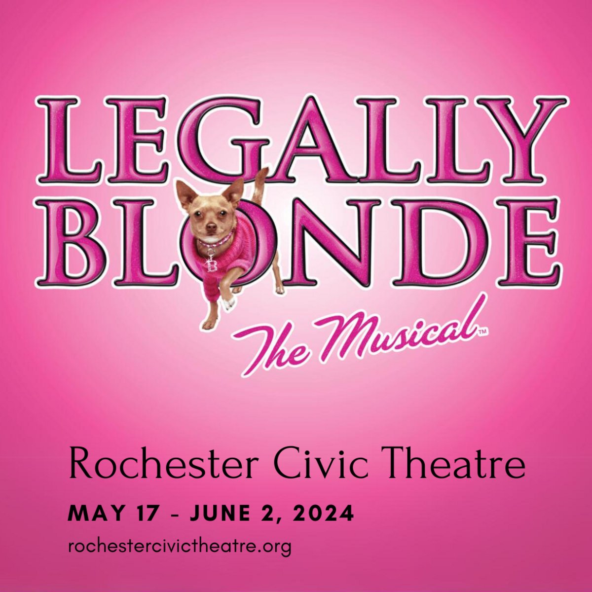 Oh my god, you guys! The Tony Award-winning #Broadway tribute to girl power, #LegallyBlondeTheMusical will take the stage at the #RochesterCivicTheatre from May 17 - June 2. Follow Elle Woods on her musical journey to self-discovery. Visit: bit.ly/3FpNcfm