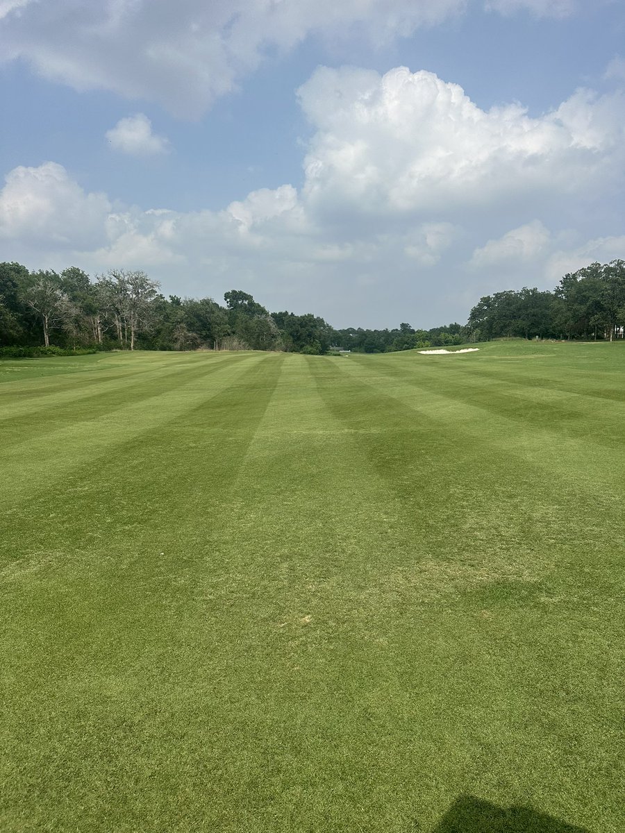 16.5 inches of rain over 4 days. This is our second dry cut since Saturday. This staff busted their tails getting this course playable for the women’s NCAA Regional. Can’t thank them enough. Tomorrow is the last round and good look to our girls!