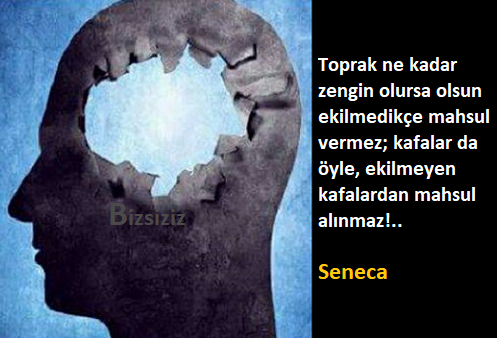 #FikirHasadı #ÖğrenmeArzusu #BilgelikTohumları #DüşünceBahçesi #BilinçBiçimi #AkılAğacı #FikirFidanı #ZihinselZenginlik #DüşünceDerinliği #AkılEkini #BeyinBaharı #BoşBeyin