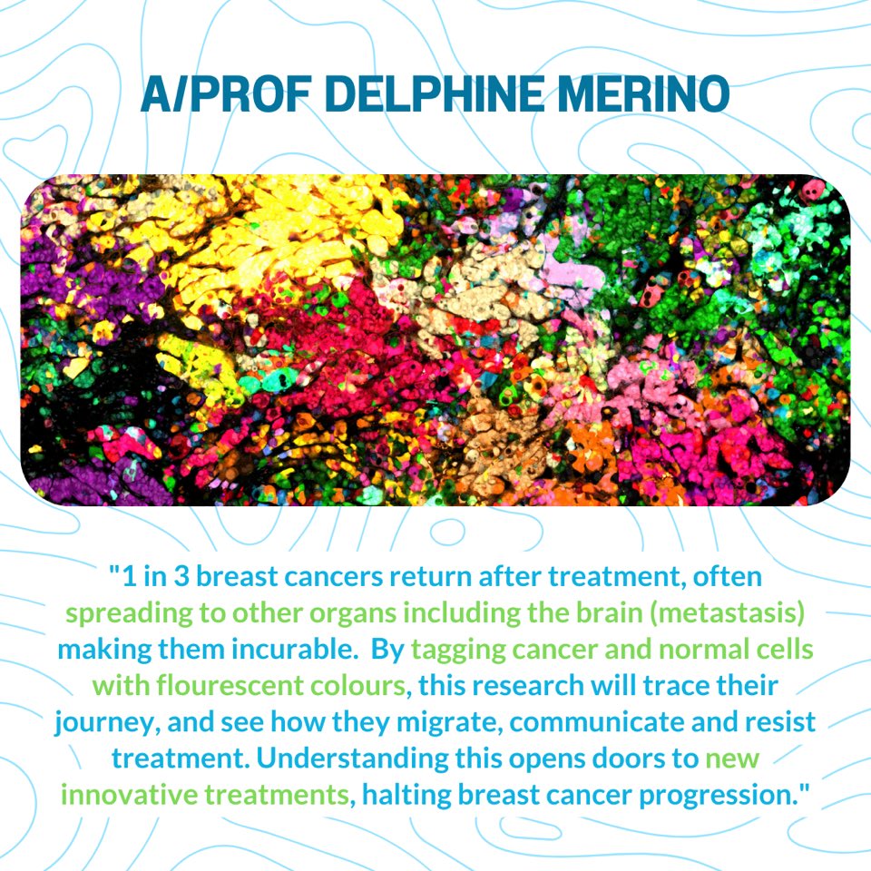 ONJ Cancer Research Institute (@onjcri) on Twitter photo 🌟 Congratulations to <a href="/delphine_merino/">Delphine Merino</a> for securing funding from <a href="/NBCFAus/">NBCF Australia</a> for groundbreaking research! A/Prof Merino and team will tag cancerous and healthy cells will different colours in order to uncover the secrets of metastasis, and pioneer new #BreastCancer treatments. 🌟 Congratulations to <a href="/delphine_merino/">Delphine Merino</a> for securing funding from <a href="/NBCFAus/">NBCF Australia</a> for groundbreaking research! A/Prof Merino and team will tag cancerous and healthy cells will different colours in order to uncover the secrets of metastasis, and pioneer new #BreastCancer treatments.