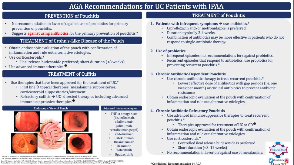 📷Faculty Retroflexions📷

🚨High yield! Dr. David Eskreis gives us insight regarding the AGA Guidelines on the Management of Pouchitis and Inflammatory Pouch Disorders. Please see our fellow’s (@ARodriguezDO) associated visual abstract! 
#FacultyRetroflexions #EmoroidDigest