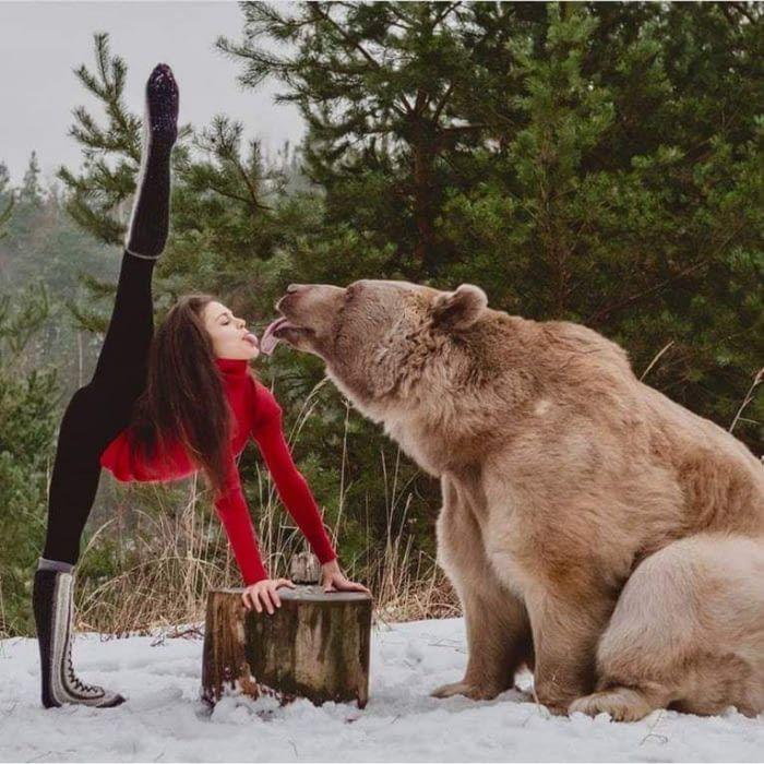 Is this why womxn would rather encounter a bear in the woods? I don't know what you think... but this looks like foreplay to me.