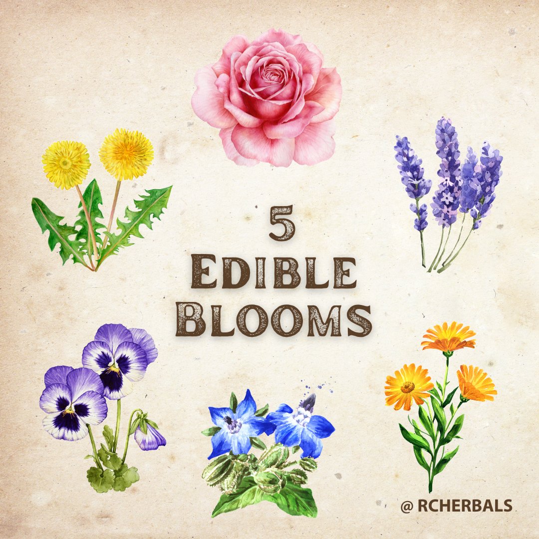 Check out these 5 edible garden blooms! Click here: ow.ly/SQTu50RrkjB

#Blooms #Edible #Garden #Gardening #Recipes #Food #GrowYourOwn #EdibleFlowers