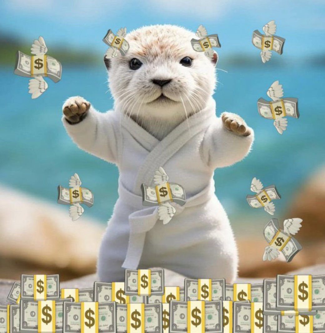 aashikafsaan's tweet photo. @yelotree Why you guys always buying all this shitty rugs? I don’t understand! Why you guys don’t promote token like $lucy that has a huge potential? Remember this is the only otter on Solana!

ca EkM3AvBo8hFmuCiHqsX4s14Ue8NsUhQnnLVs1vATHRxC https://t.co/rFOjUWJwBw