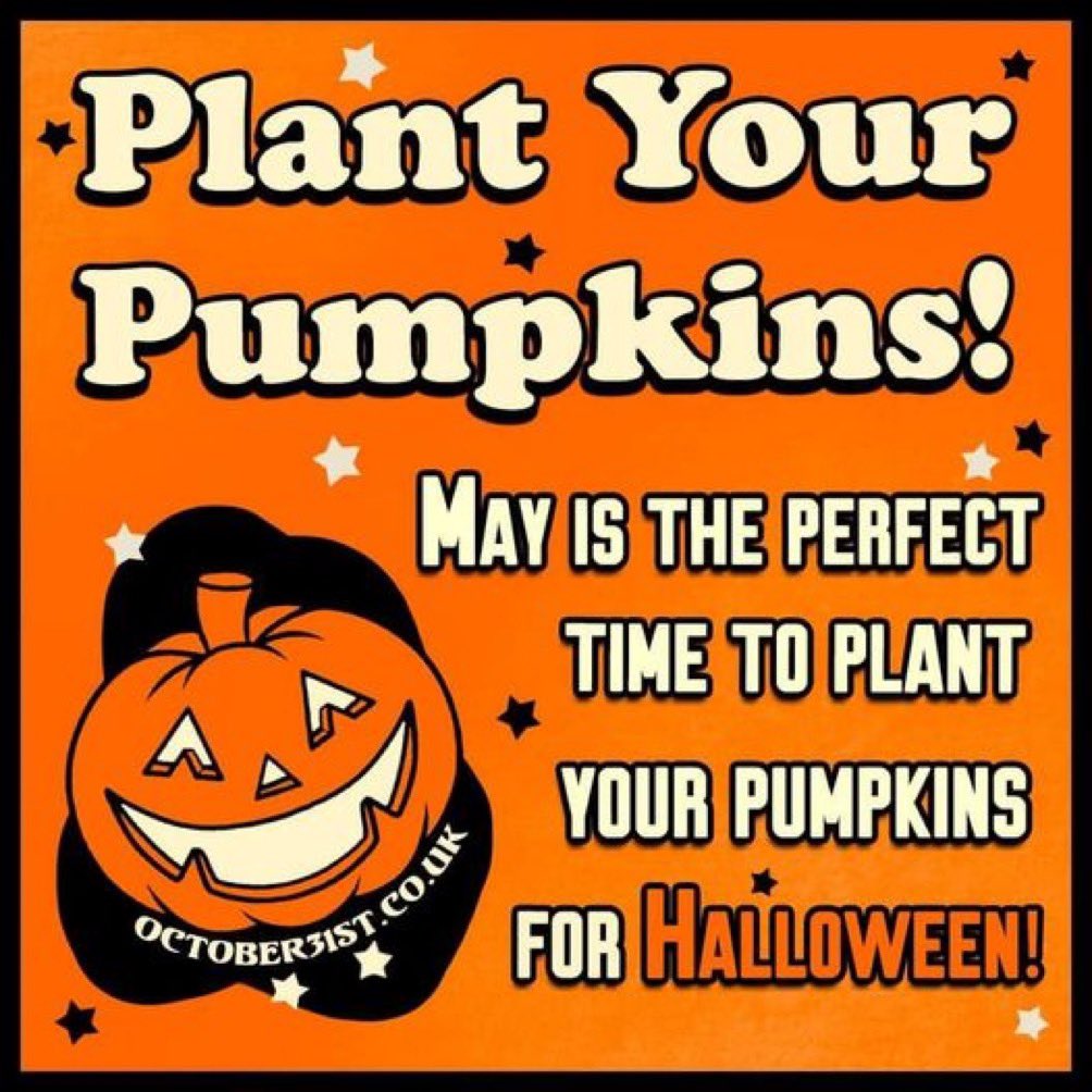 #halloween #halloween2024
#pumpkinpatch #horror