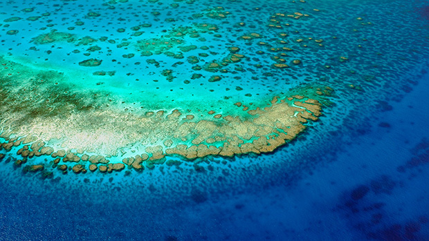 #UQ researchers have received $3.6 million in funding from the Federal & Qld governments to improve water quality monitoring in Great Barrier Reef catchments 🌊🐙🐠 🔗brnw.ch/21wJyLp @UQscience @DrRDRT7 📸Adobe