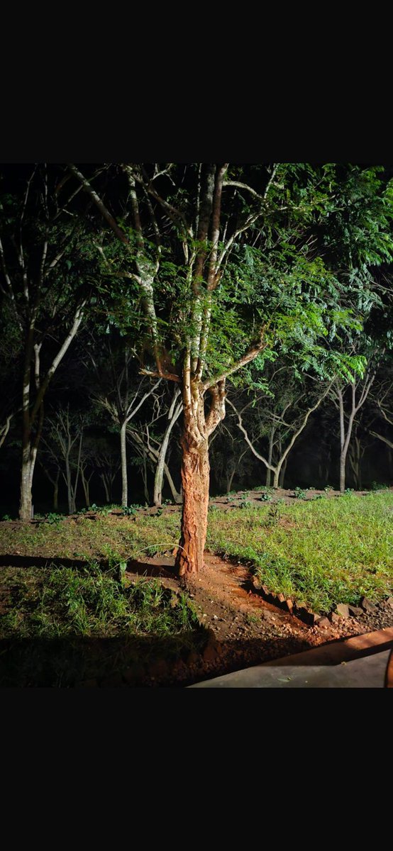 Le Rwanda possède des endroits paradisiaque comme ici par exemple vers le Lac MUHAZI ou l’on trouve des espèces rares et uniques d’OISEAUX. Formidable.