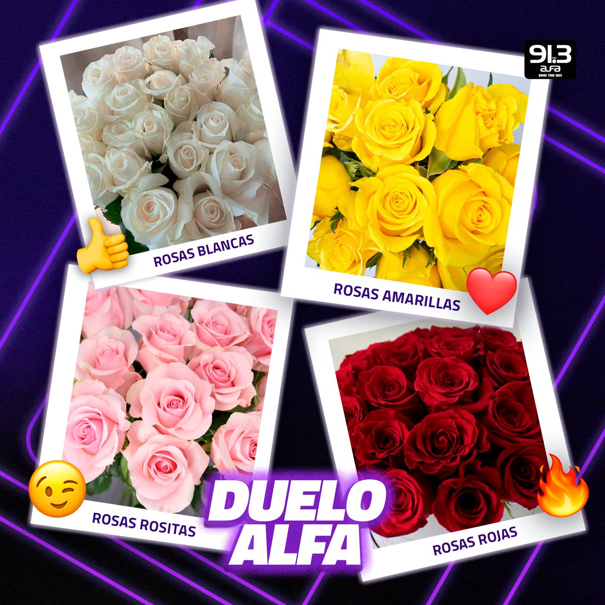 ¿Cuáles rosas son tus favoritas? 🌹🌷