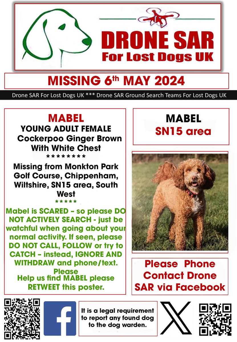 #LostDog #Alert MABEL IS SCARED SO PLEASE DO NOT APPROACH Female Cockerpoo Ginger Brown With White Chest (Age: Young Adult) Missing from Monkton Park Golf Course, Chippenham, Wiltshire, SN15 area, South West on Monday, 6th May 2024 #DroneSAR #MissingDog