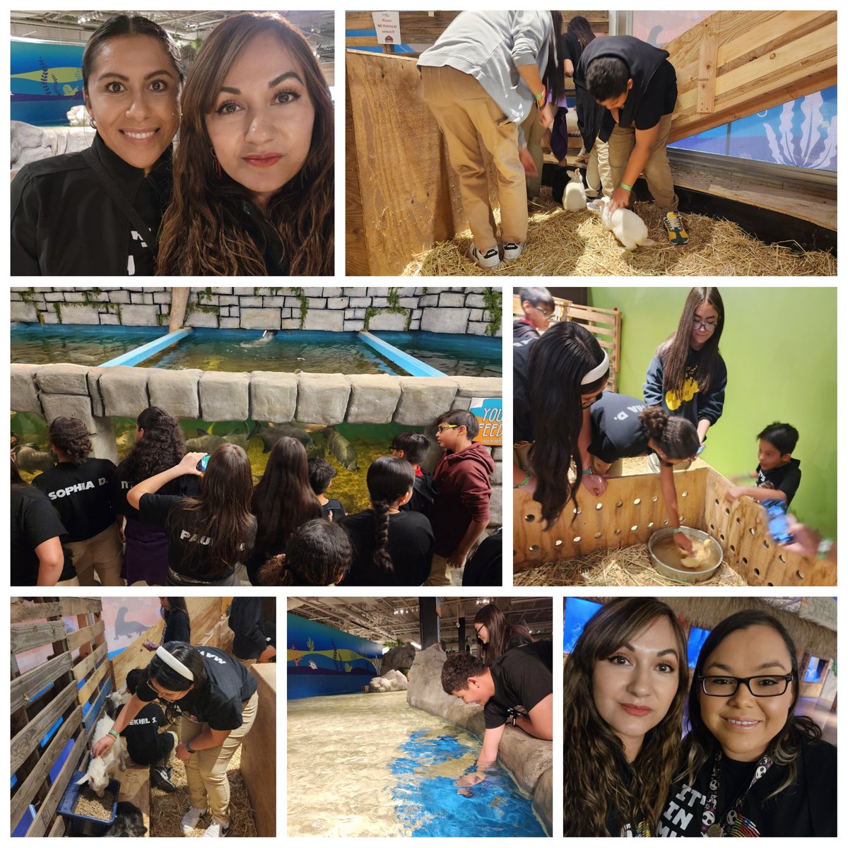 Our Spanish Club members had an excellent time at Jungle Reef. They learned about marine life and got to interact with some pretty awesome fish and farm animals. @aleseade2022