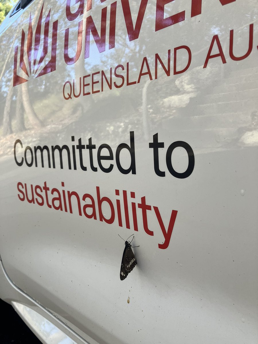 9 out of 10 butterflies agree, electric and hybrid pool cars for @Griffith_Uni intercampus travel are a plus