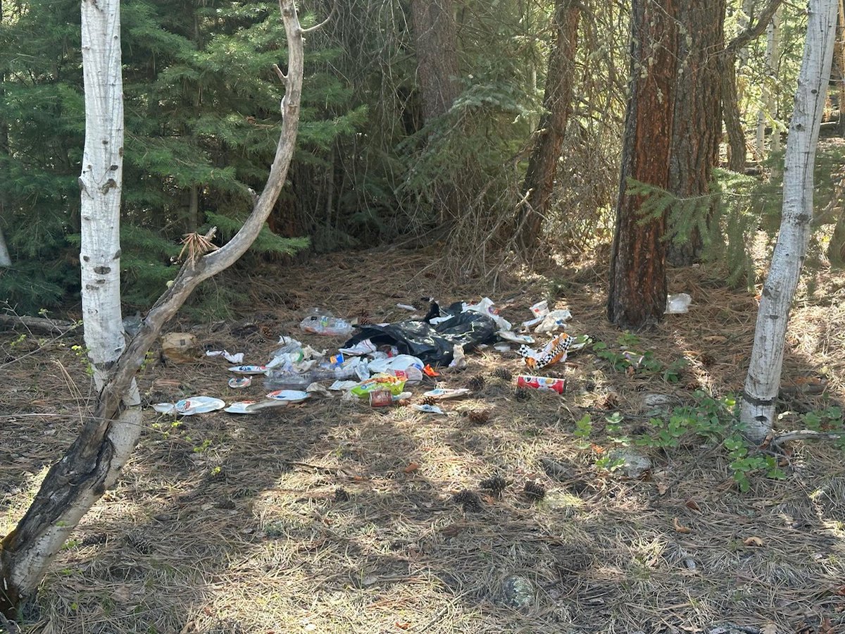 BeBearSmart's tweet photo. Recent resident-submitted photo of trash accessed by a bear near Vallecito. Info on how to report incidents of trash accessed by bears so it can be addressed can be found here: https://t.co/1STsLKggUW https://t.co/f8T0O7S1Vp