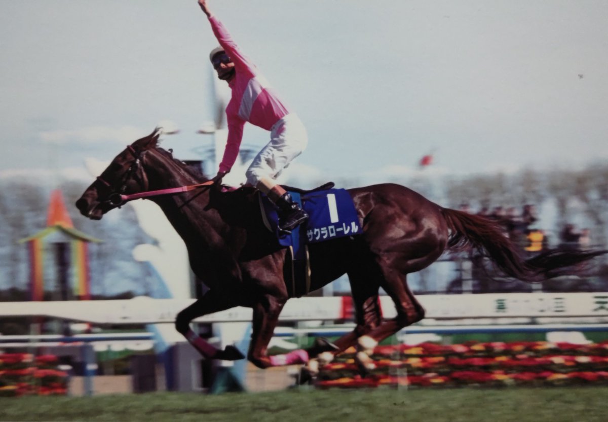 第115回 天皇賞(春) ポスター B2  マヤノトップガン サクラローレル 	マーベラスサンデー 競馬 JRA 1997年 天皇賞（春）（GⅠ） | マヤノトップガン | JRA公式 - YouTube