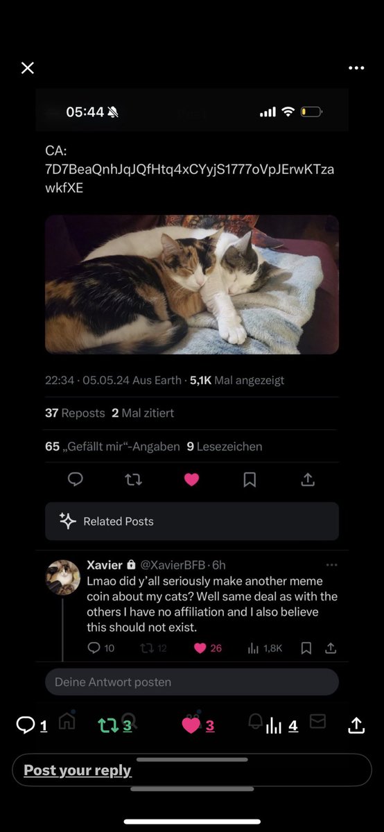 EinarsFrFr's tweet photo. @Cold_xyz GO BUY POP CATS SISTER SND YOULL BE NEVER WORRIED ABOUT MAKING MONEY
$ELLIE IS THE TICKER https://t.co/JhBay18MFQ