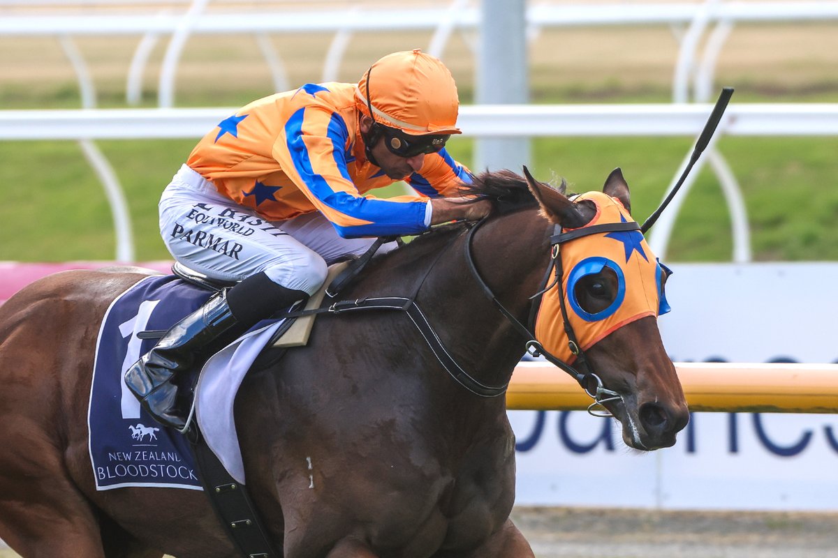Discretion Rules Breaks Through in Champagne 🍾 After gallant placings in all of his three previous starts, #DiscretionRules (Alabama Express) broke through in style in Saturday’s $80,000 Listed Berkley Stud Champagne Stakes (1200m) at Riccarton.🎉 Discretion Rules was bought…