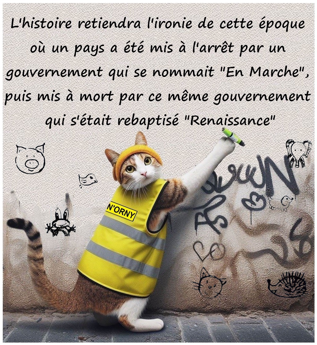 #GiletsJaunes #France #Injustices #Macron