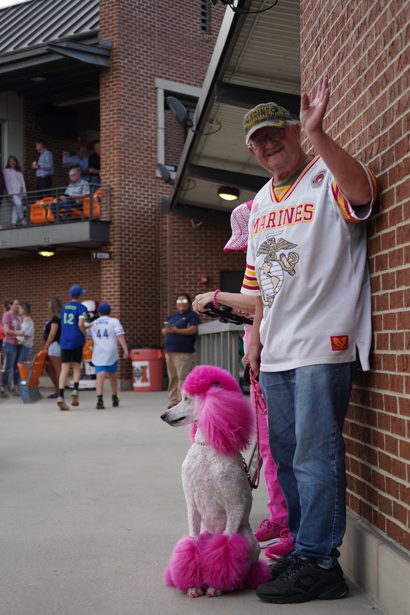 Paw-fect day for Bark in the Park 🐾🐶 #GoodToGreat | #WinnersWin