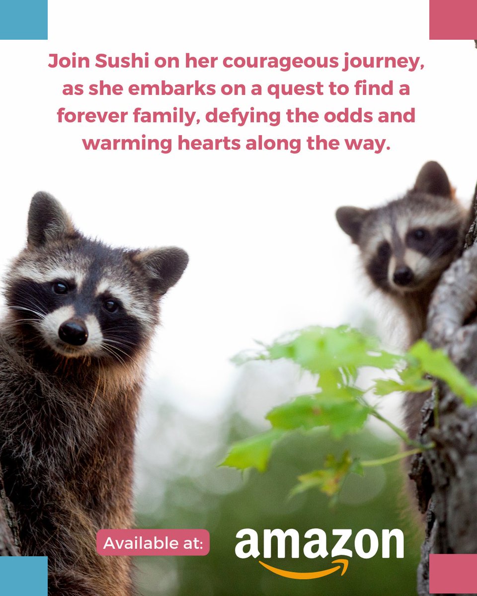 Sushi's quest for a forever family is a journey of courage and determination. . Grab your copy now at bit.ly/41FqbR3. . #sushisjourneyhome #adventuresinlove #uniquebabyraccoon #outdooradventures #mishapsandlove #foreverfamilyquest #adoptingsushi