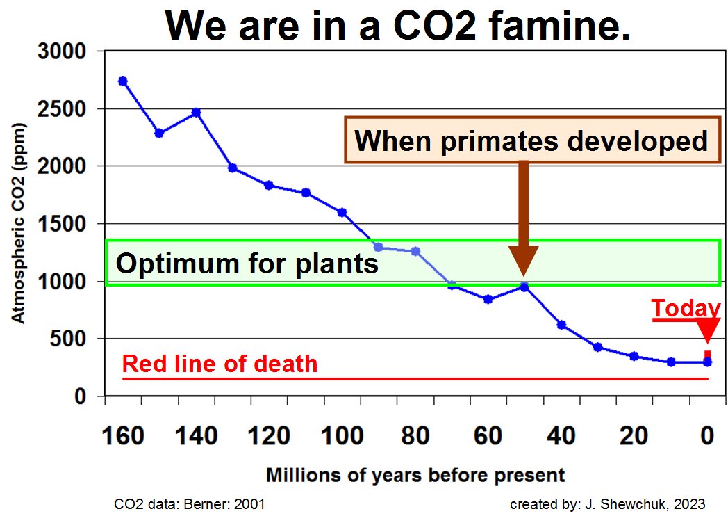 A 40 year hoax to destroy Western energy is based on a package of lies about carbon dioxide. CO2 has had a pivotal role in the rise of oxygen & formation of life on earth. Yet its always been a trace gas. We now face a dreadful future calamity because CO2 needs to be 1,200ppm.