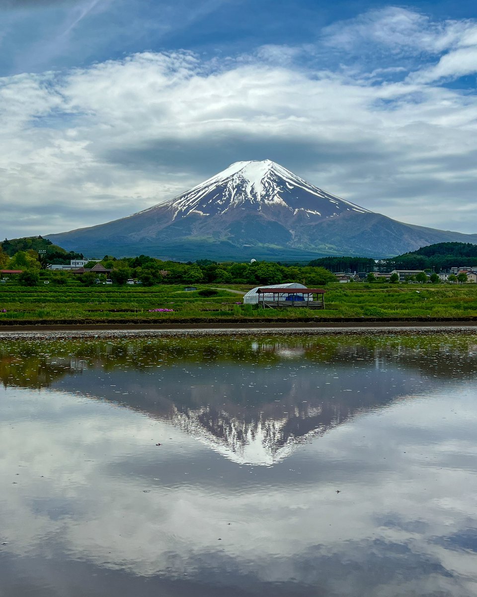 田んぼに映る逆さ富士と
離れ笠雲に青空まで
少し前まで曇天吉田うどん食べて帰ろうと思ったのに帰れなくなった6日のお昼過ぎでした😅