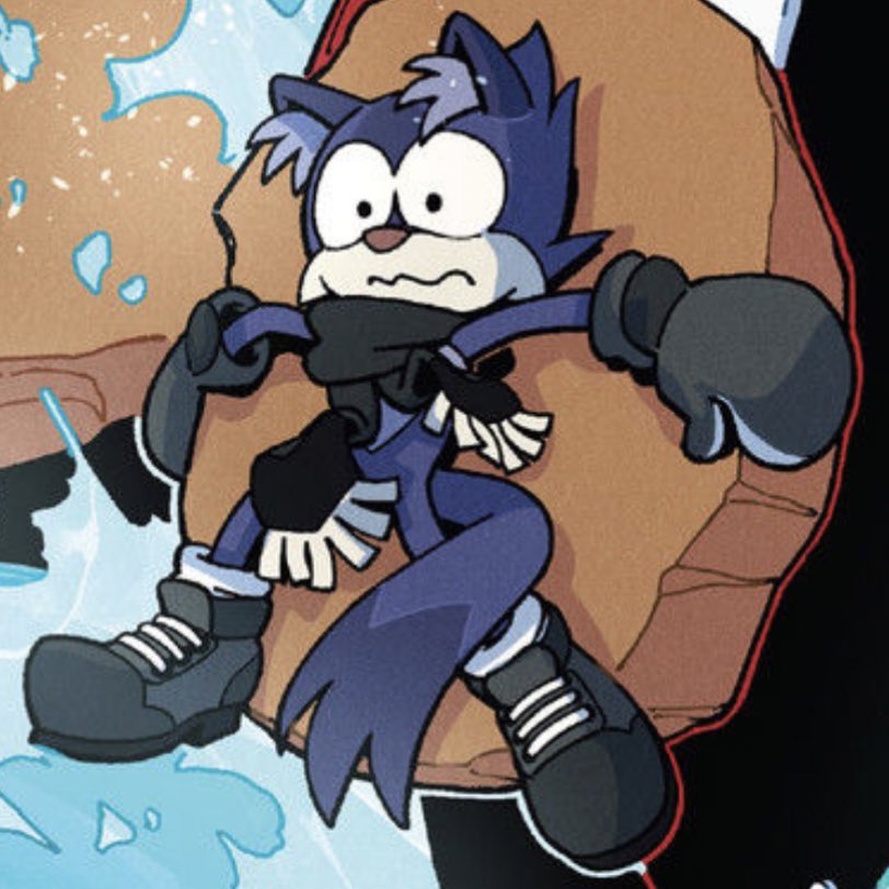 From Sonic IDW 63