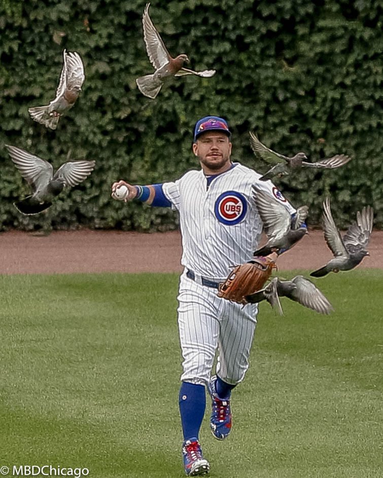 End of an era: sad to announce that the @Cubs denied me entry w my camera. I can no longer bring you my shots of the team I love fr beautiful Wrigley Field. Thanks to everyone who liked, shared and treasured these photos over the yrs. So glad u did. A thread of favs over the yrs