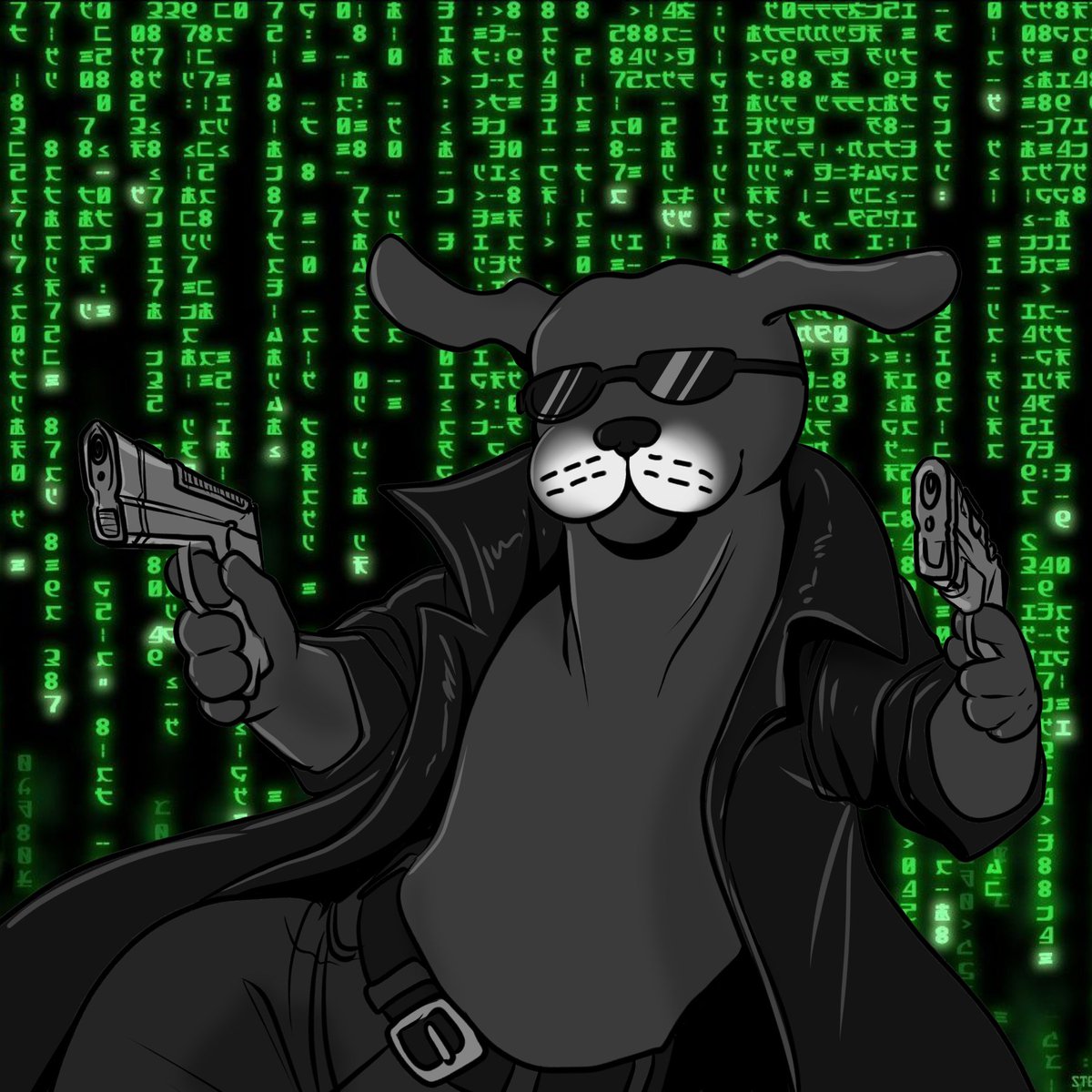 Quasi 🔺 tweet media