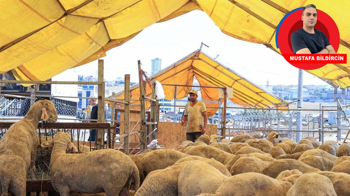 Emekliyi, ücretliyi “kurban” ettiler TÜİK’in enflasyon oranının makyajını bu kez de Diyanet’in belirlediği vekaletle kurban kesim bedeli sildi. 11 bin 750 TL olarak belirlenen bedelle emekliler ve asgari ücretlilerin kurban kesmesi imkansız hale geldi birgun.net/haber/emekliyi…