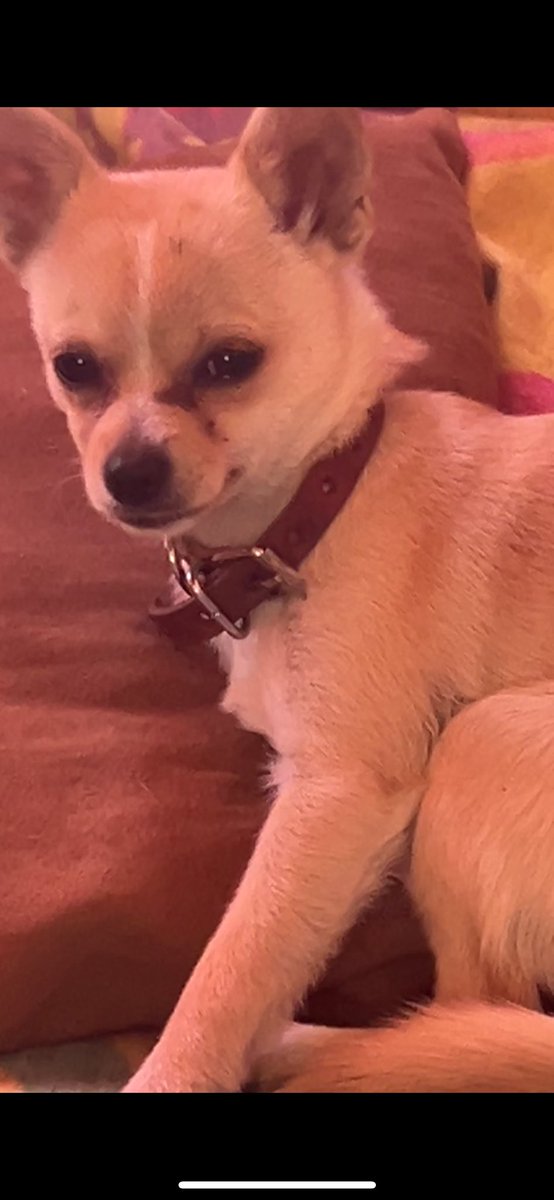 NaayyGR's tweet image. twitch.tv/naayygr

Si no entras, ella te juzga 👇🏻