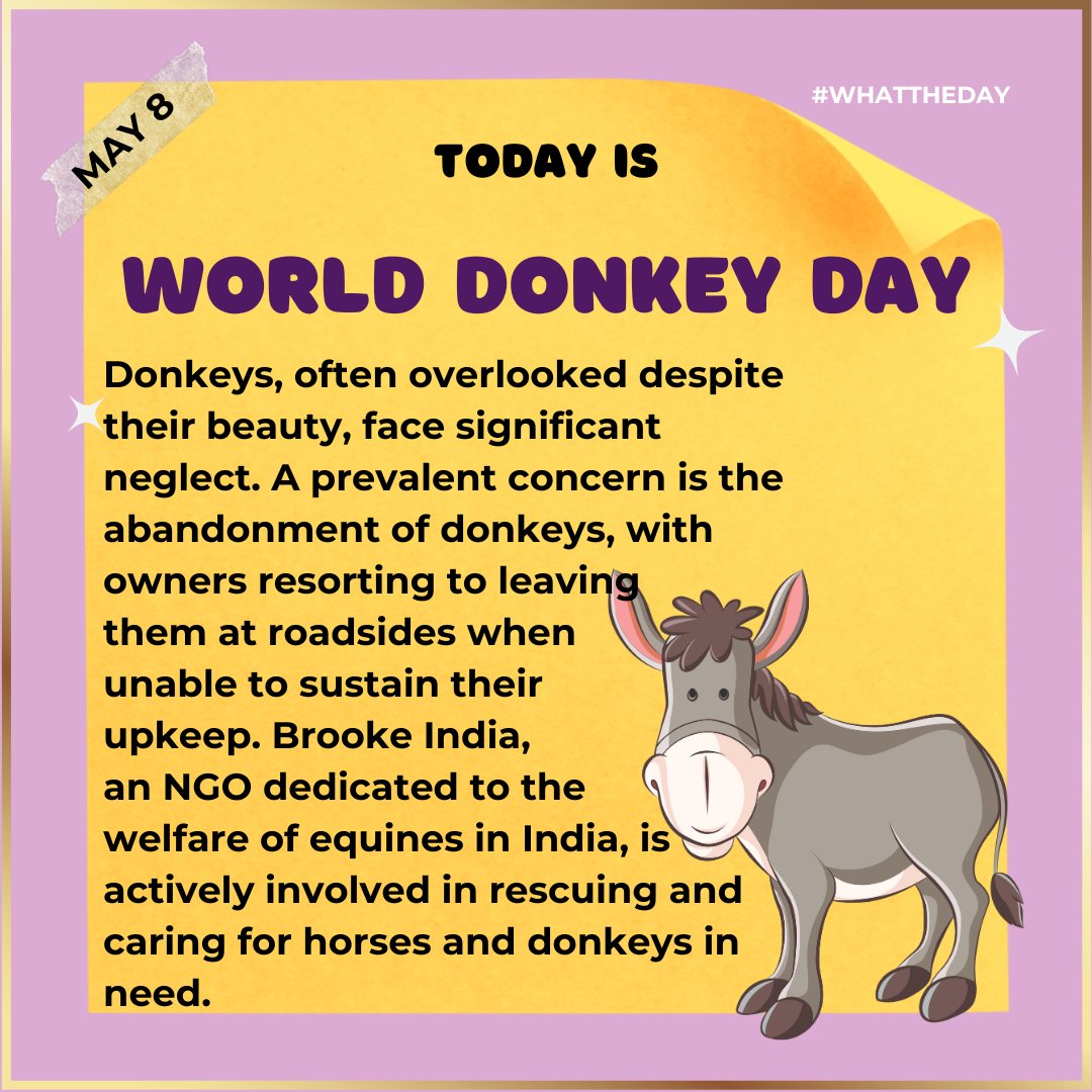 We love all animals donkeys being one of them! They deserve a life of dignity as much as any other animal! ❤️

#catnip #catmeme #uttarakhand #cattoys  #catniphigh #catniptoy  #catsoncatnip #dehradun #pets  #Indian #hrikutoys #hrikucattoys
