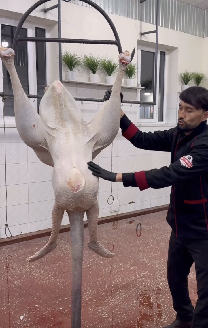 Saw a video on IG of a guy preparing an ostrich to cook and for a while I thought I was looking at some kind of Cronenberg practical effect monster