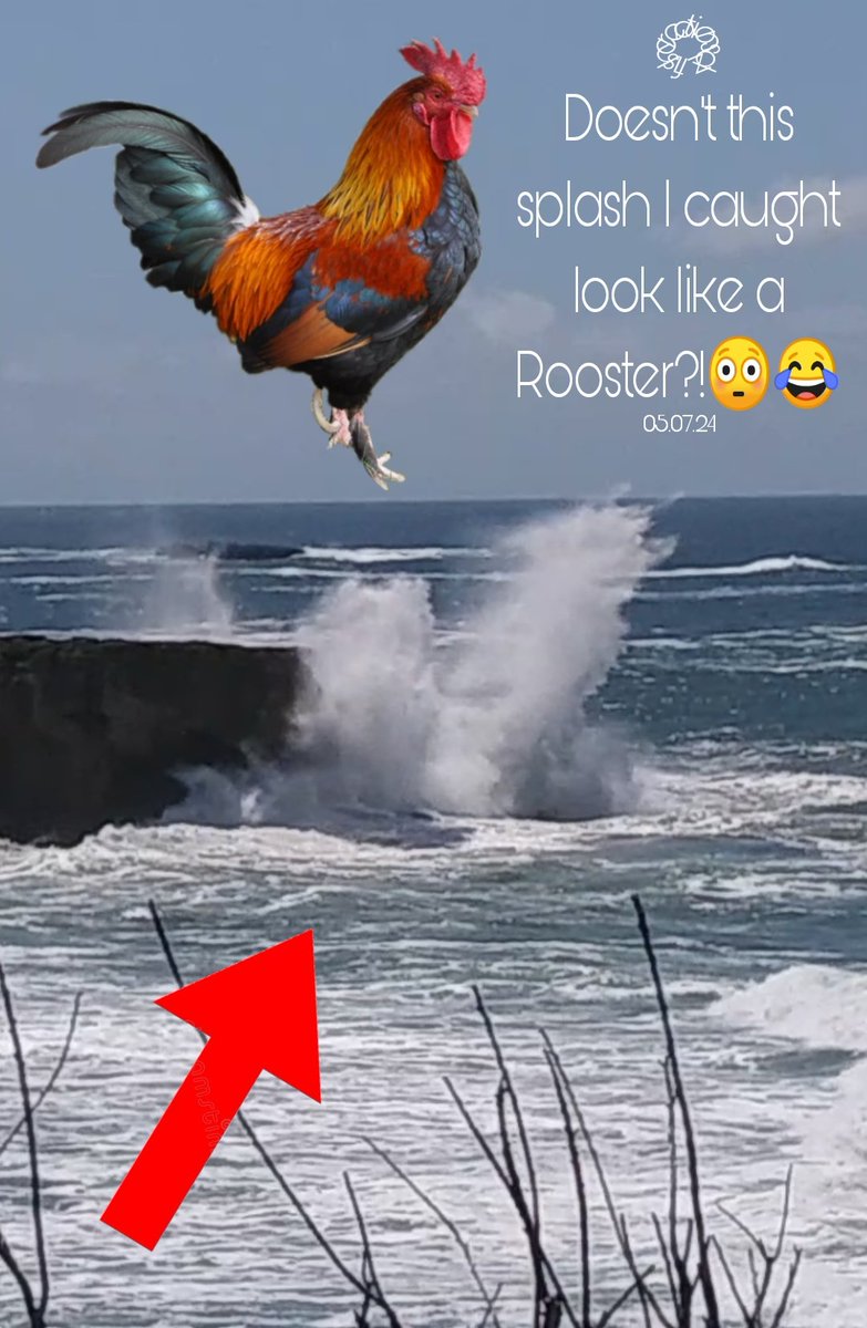 😳😂😘🙏🌎🇺🇸🌊 Doesn't this #Splash that I caught today look like a #Rooster? #oregoncoast #Oregon A lot of people don't share a lot of personal stuff but like I say in my bio I love #sunsets! PS #X but there's a lot of porn on here LOL!