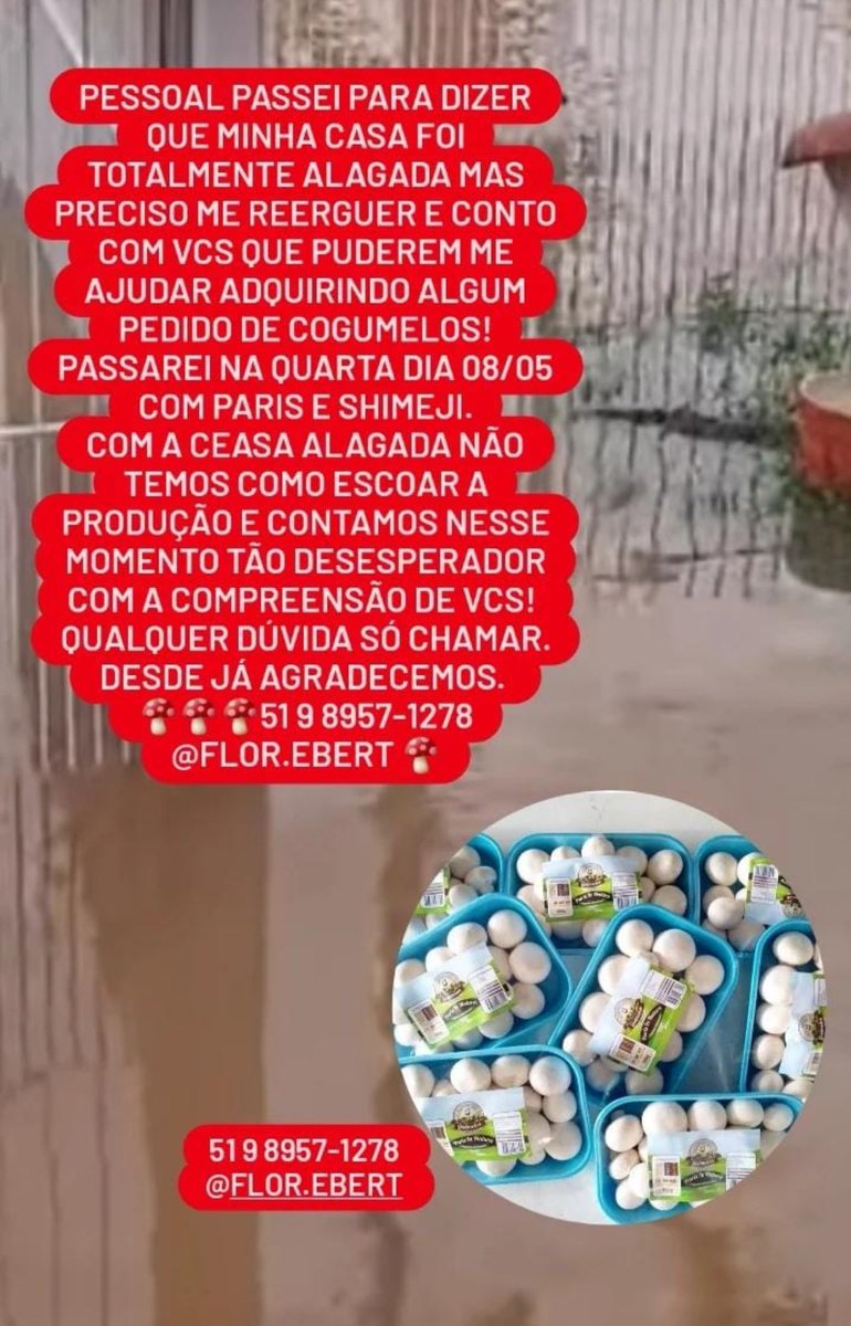 bjodaglai's tweet image. PESSOAL, essa é MINHA MÃE. 

Ela é pessoa mais bondosa e trabalhadora que eu conheço. Meu exemplo sobre tudo que aprendi de bom. Ela perdeu TUDO. Tudo mesmo. Foi resgatada no primeiro dia de inundação e acolhida por amigas que a amam muito. Minha mãe é professora de ensino…