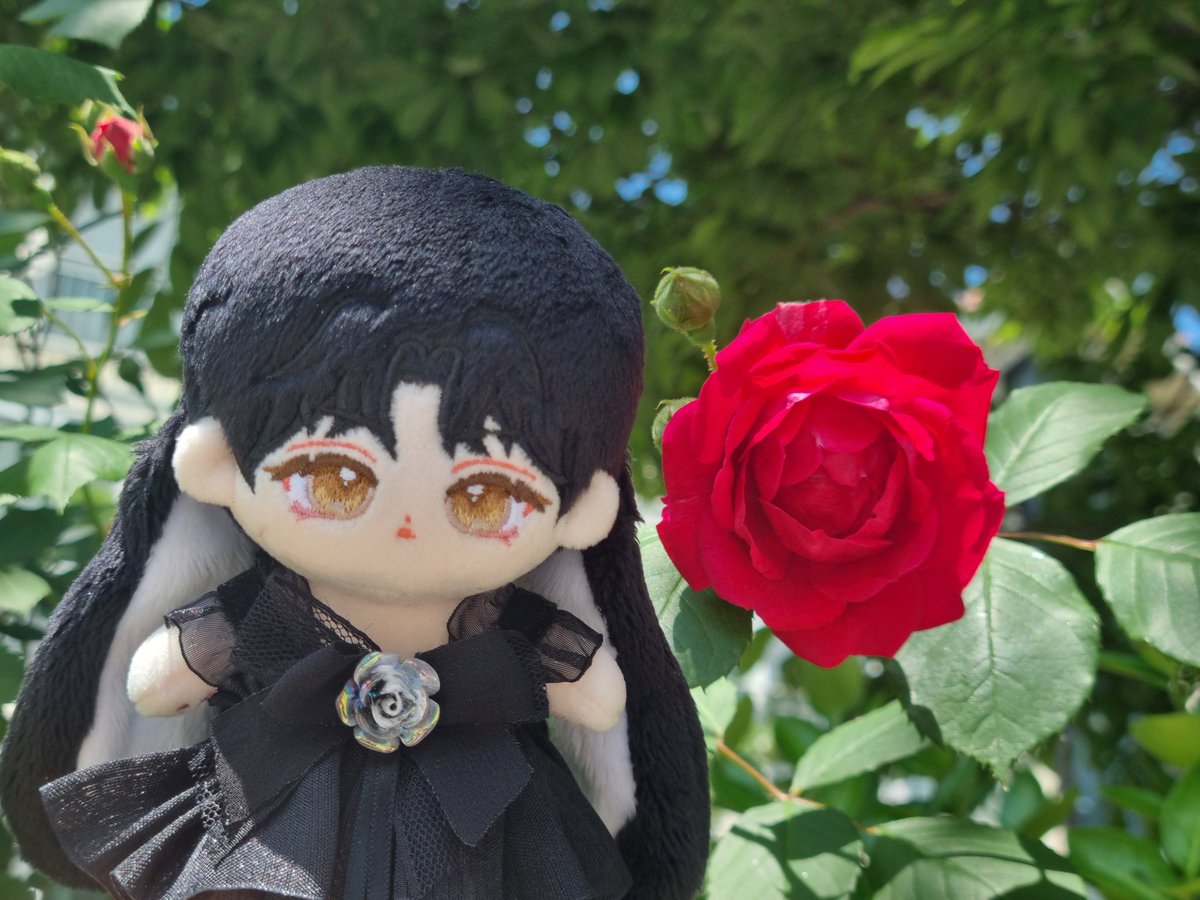 아기⚘️ 어른🥀

#미모를_삼킨_흑설아현 
#모란솜이_피었습니다