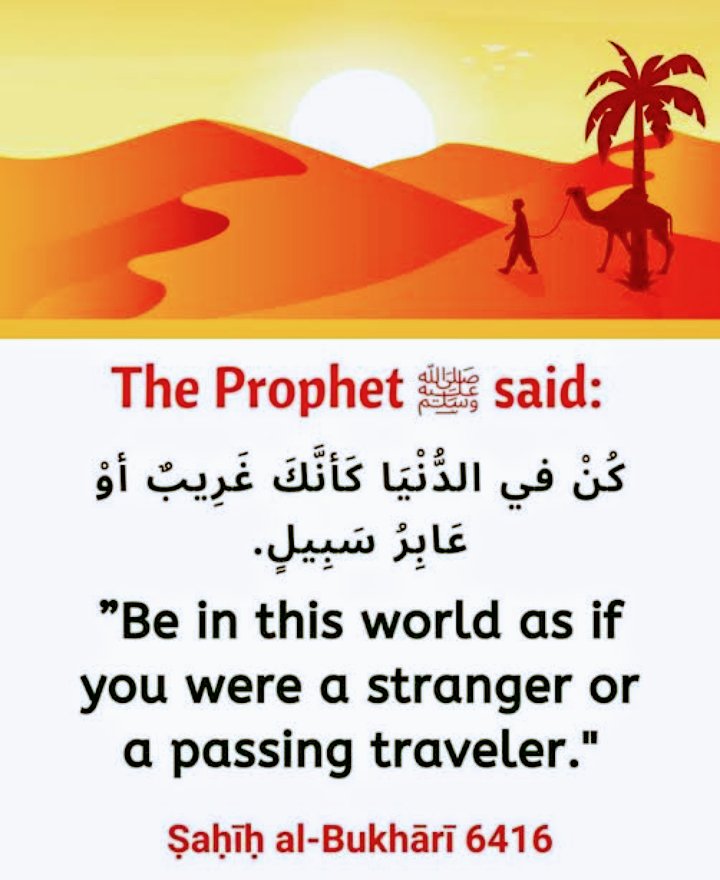Hadith of the day.