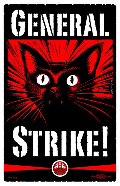 Anarcho Cats 🐱🏴 (@Anarcho_Cats) on Twitter photo 2024-05-08 04:26:52