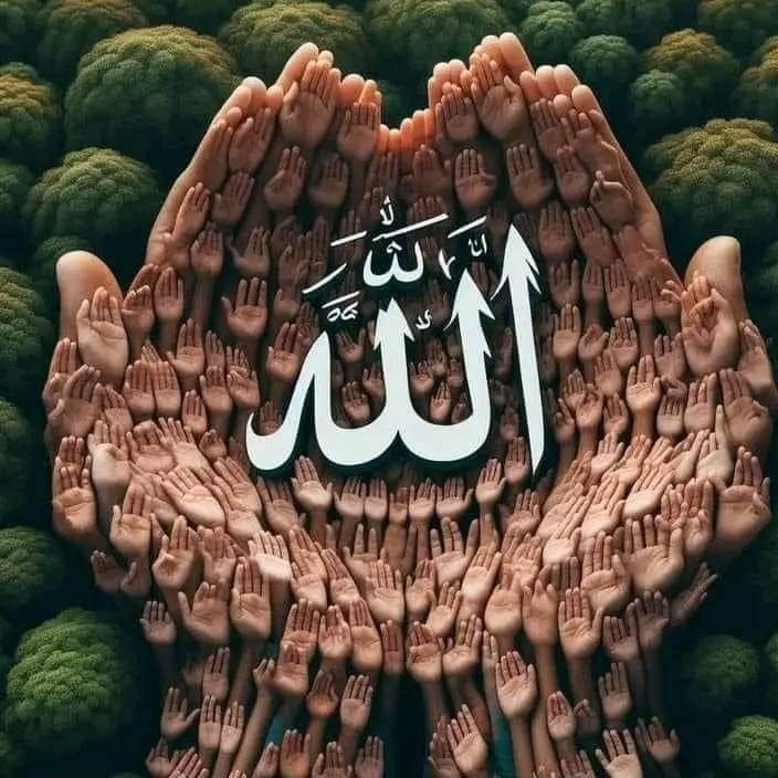 Bilqees BB (@bilqees_bb) on Twitter photo 