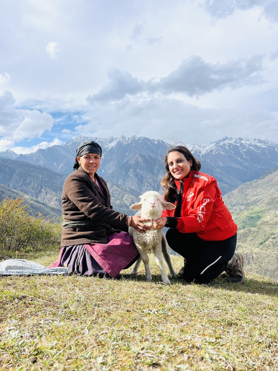 sonalgoelias's tweet image. Sankari to Kasala Village to the camp site : Bada Thaach 

The warmth , smiles and delightful conversations in #Garhwali with all of them kept us going 👏🏻

#TrekDiaries 💕
#Kasala #BadaThaach
#Uttarkashi 🏔️