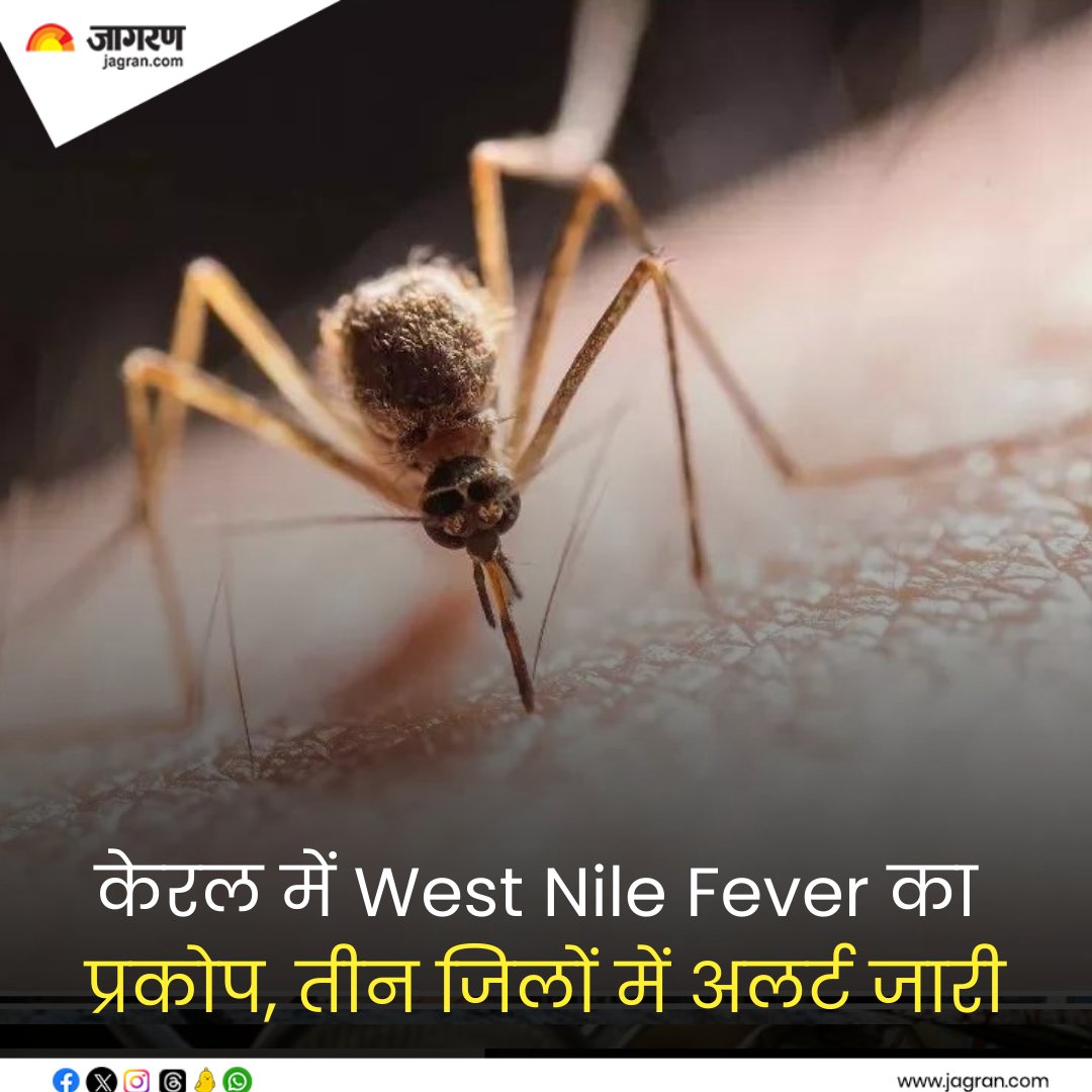 shorturl.at/sxNP2 || केरल में West Nile Fever का प्रकोप, तीन जिलों में अलर्ट जारी; जानिए क्या है ये जानलेवा बीमारी

#WestNileFever #KeralaNews