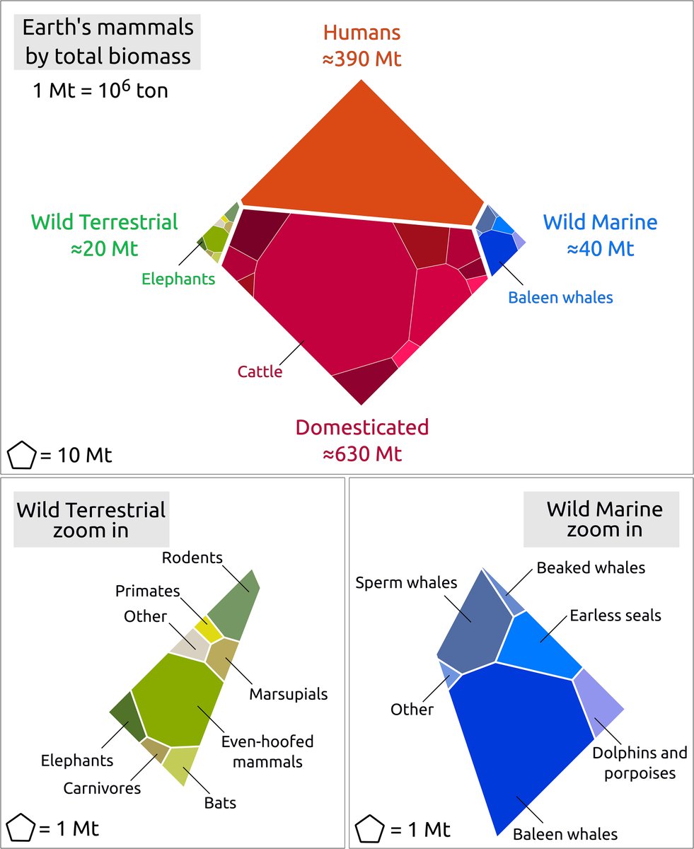📊How does the unit affect how we see the data set?

In this representation of the biomass of earth’s mammals, a pentagon is used to represent a unit in the diagram.

What do you notice 👀 and wonder 💭?

See more: pnas.org/doi/10.1073/pn…