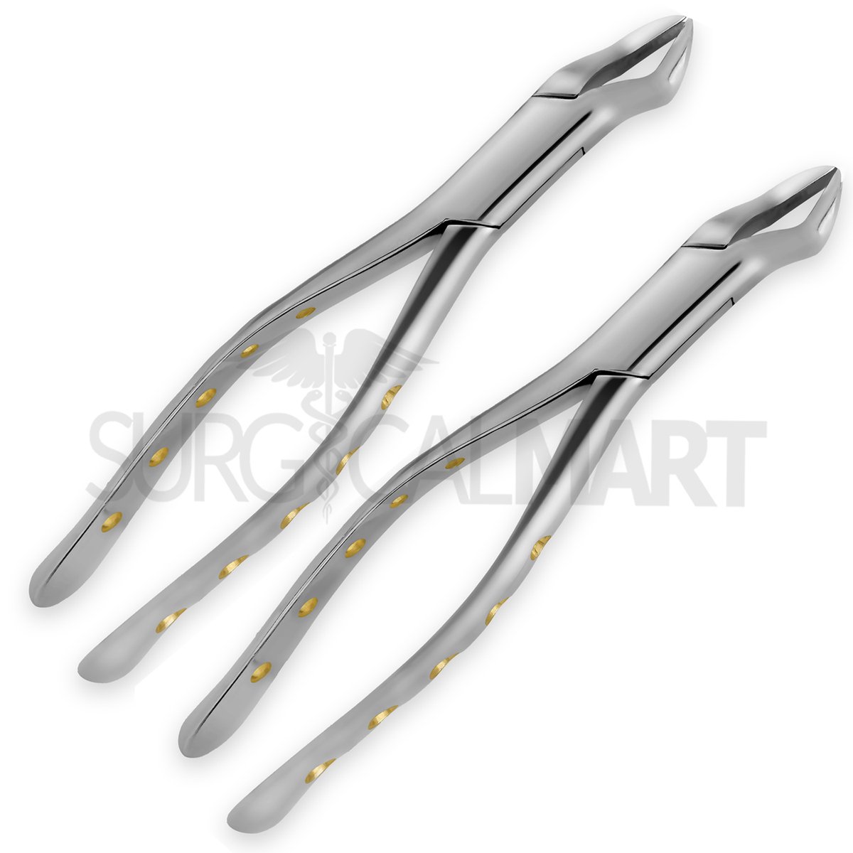 🔥 SAVE -45% on⚡2 #ExtractingForceps  Set 88R & 88L for Upper 1st & 2nd Molars with Gold Hollow Python Grip Handle🦷
Order now 👉surgicalmart.com/shop/dental-in…

#surgicalmart #extractionforcep88R #extractionforcep88L #americanextractingforceps #dentaltools #dentalforceps #shoponline