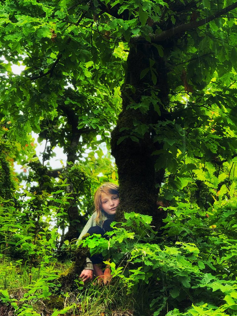 koolegard tweet media