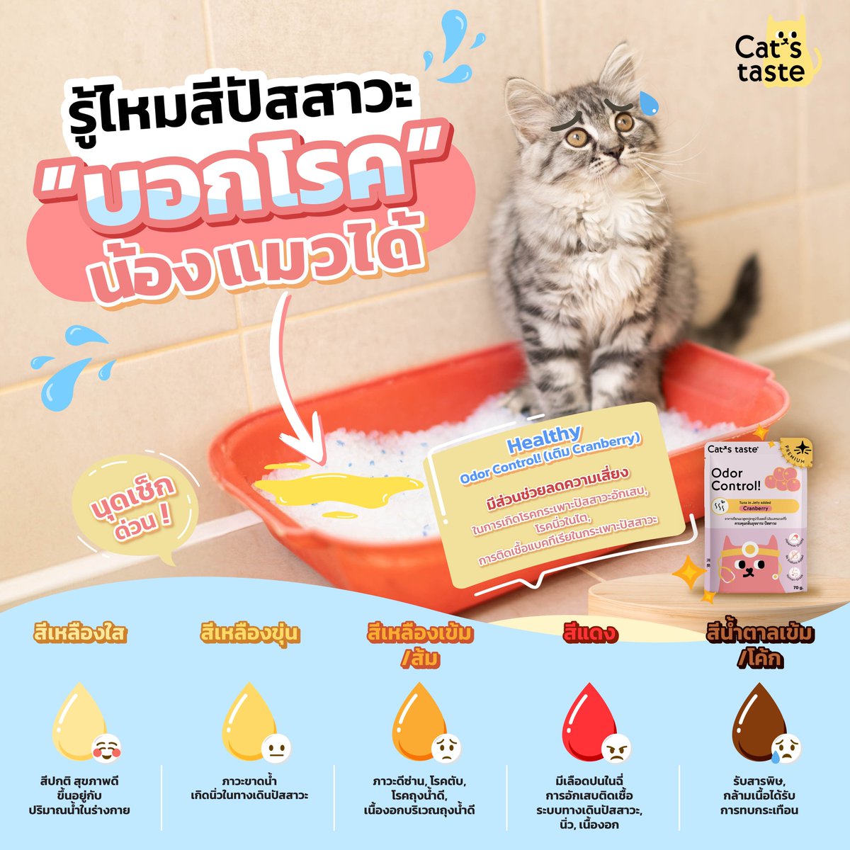 Kate_CatsTaste's tweet image. ทุกคนรู้ไหม ? #สีปัสสาวะ บอกโรคน้องแมวได้ 👩🏻‍⚕️🙀
💧อีกหนึ่งสัญญาณเตือนปัญหาสุขภาพของน้อง ๆ

มาบำรุงสุขภาพน้องกันด้วย สูตร #OdorControl ทูน่าในเยลลี่ (เติมแครนเบอร์รี่)🫐 สั่งเลย
🧡 Shopee: shope.ee/nKG2XOjo