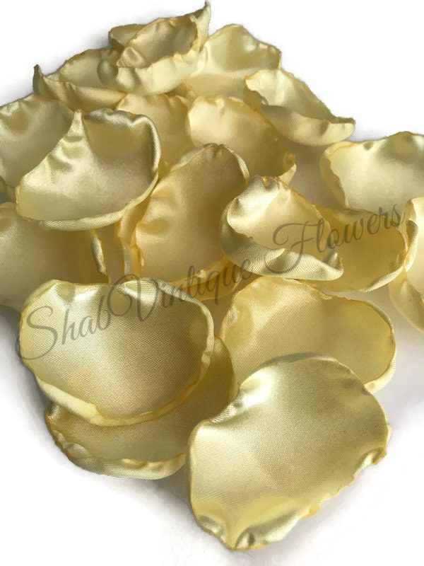 🌼✨ Transform your summer wedding into a fairy tale with pale yellow flower petals! Perfect for dessert tables and flower girl trails,… dlvr.it/T6ZMss #weddingcolors #bridal #weddingdecor #couplegoals #weddingplanning #onlineshopping #shabvintiqueflowers #celebrate