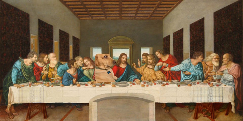 Walter fits right in🤣

$SED 

Memes again made by members of the community🔥

LFGGGGGGG