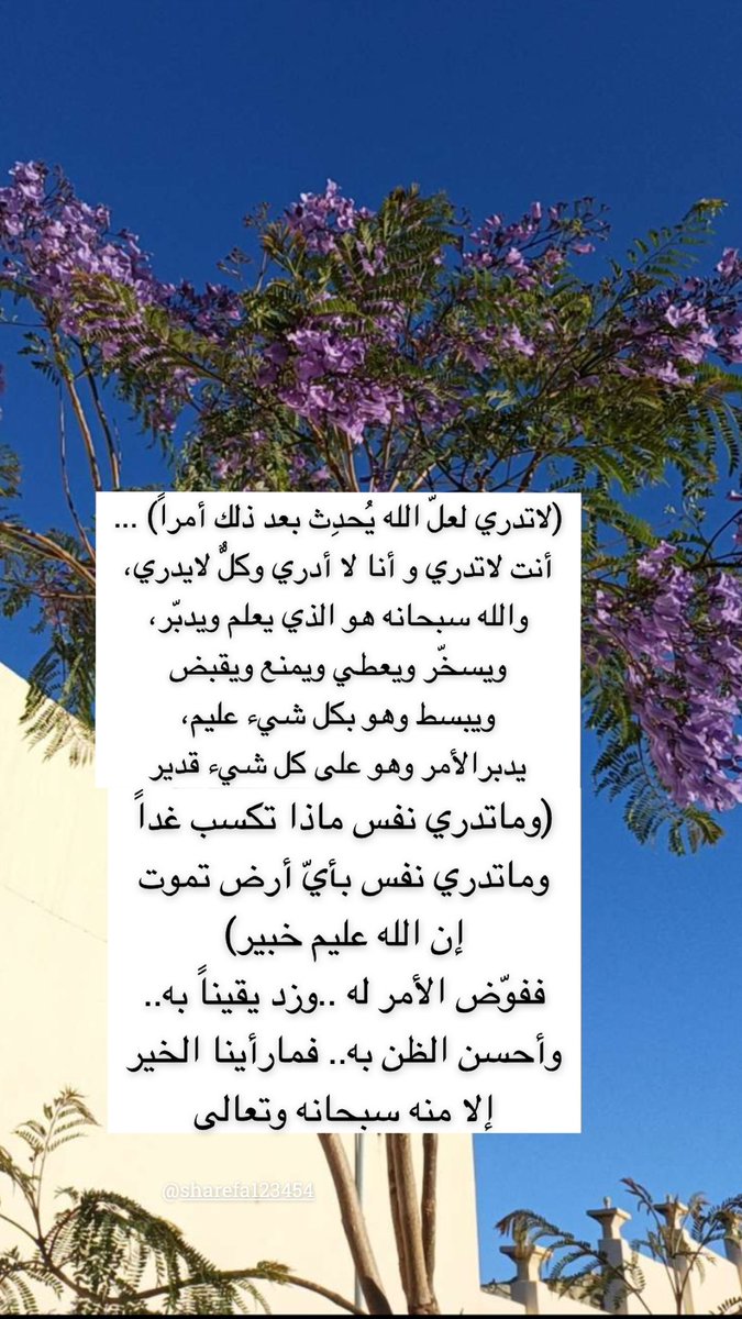 daoah2_sh's tweet photo. #صباح_الخير https://t.co/k49FzBXmBC