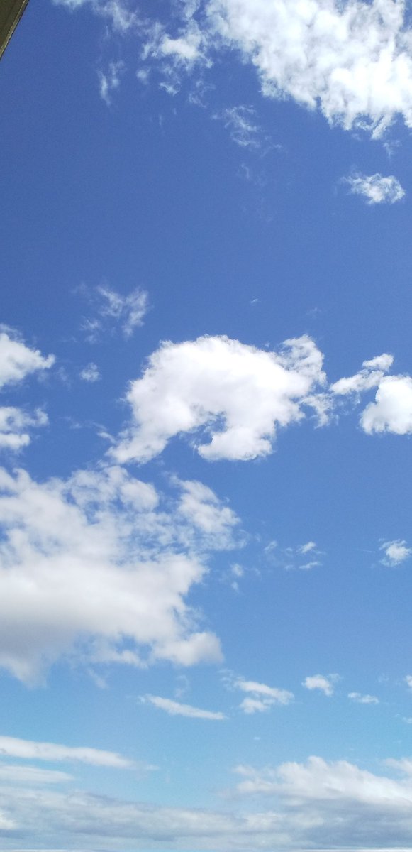 空がすっごく綺麗!!⸜(*ˊᗜˋ*)⸝✨
真っ青なそらにポワポワな雲♪

#イマソラ
#自然
#写真
#スマホ撮影
#ウォーキング