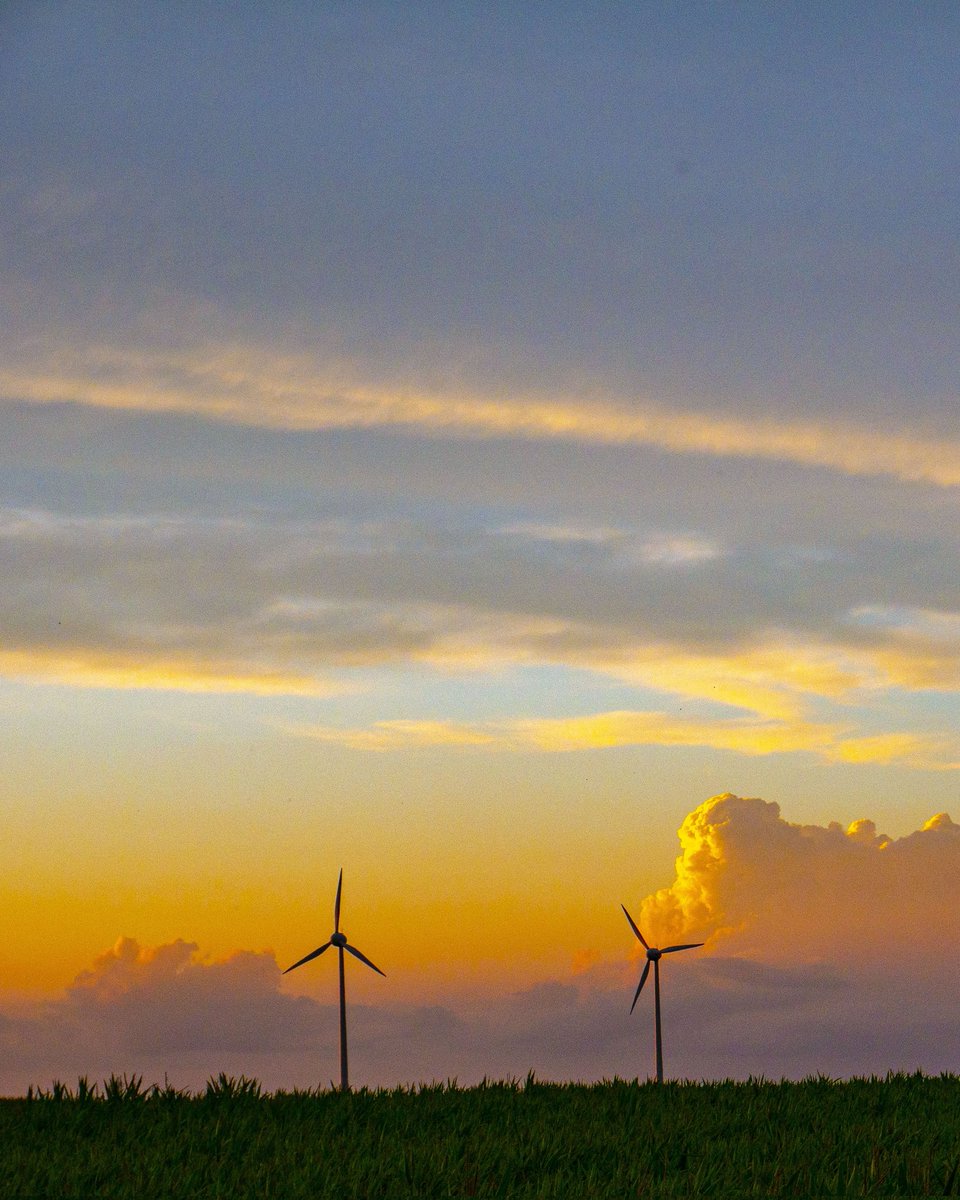 Sunset Vibes
#naturephotography
#sunsetphotography
#sunset
#sonnenuntergang
#nature
#photography
#fotografie
#countryside
#puestadesol